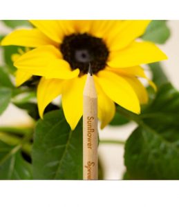 Matita Sprout Piantabile Girasole