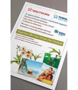 Inviti & Volantini in Carta Piantabili per Progetto Nolitours & Transat Holidays