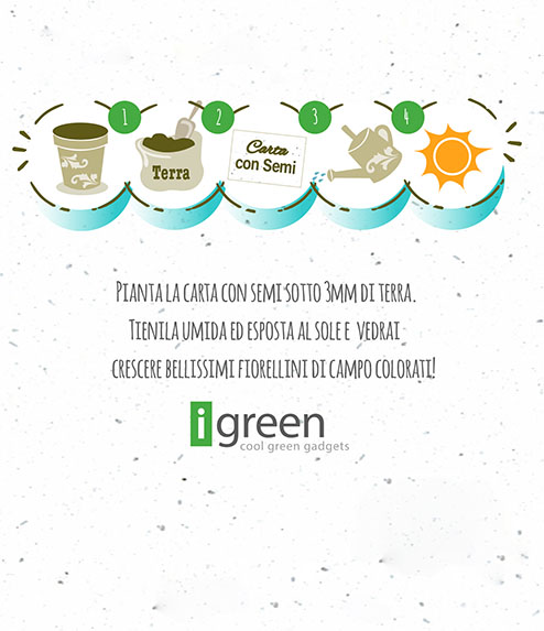 Instrucciones para sembrar Papel Plantable con infografía