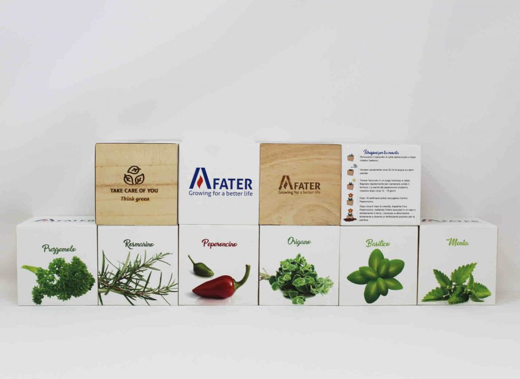 Eco cube I Progetto FATER