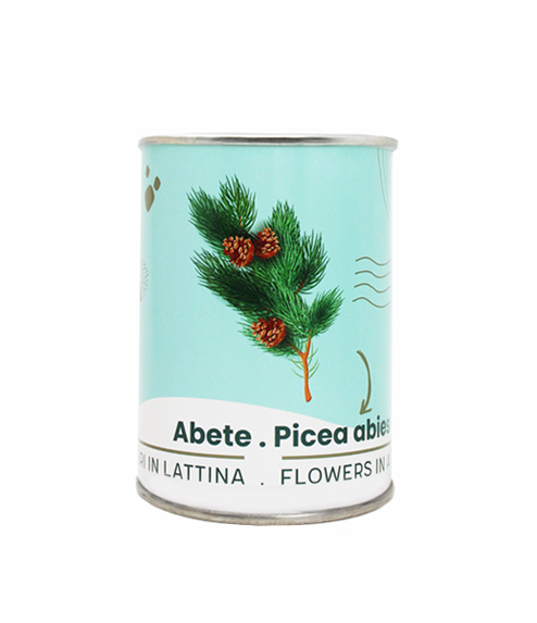 Microgiardini-Abete 494x573