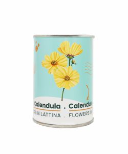 Microgiardini-Calendula