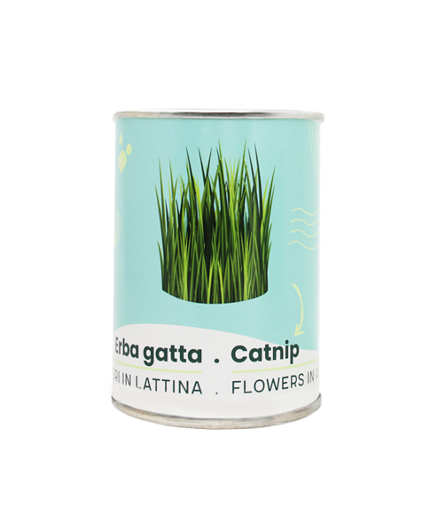 Microgiardini-Erba-Gatta 494x573