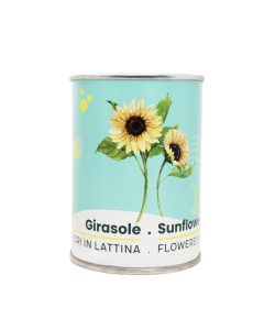 Microgiardini-Girasole
