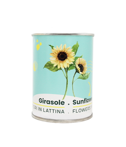 Microgiardini-Girasole 494x573