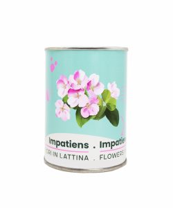 Microgiardini-Impatiens