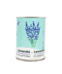 Microgiardini-Lavanda