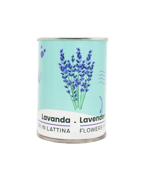 Microgiardini-Lavanda 494x573