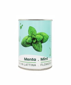 Microgiardini-Menta