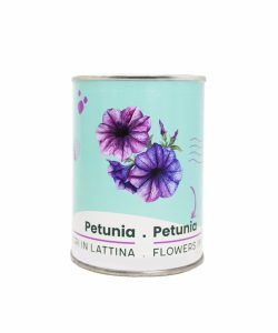 Microgiardini-Petunia