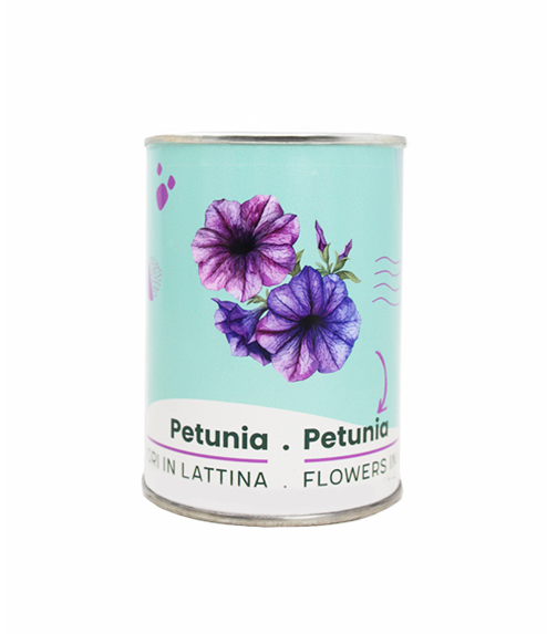 Microgiardini-Petunia 494x573