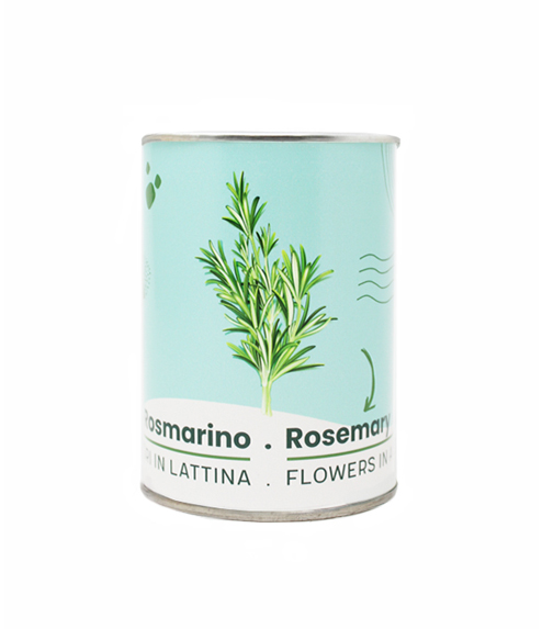 Microgiardini-Rosmarino 494x573
