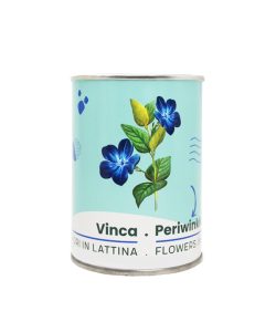 Microgiardini-Vinca