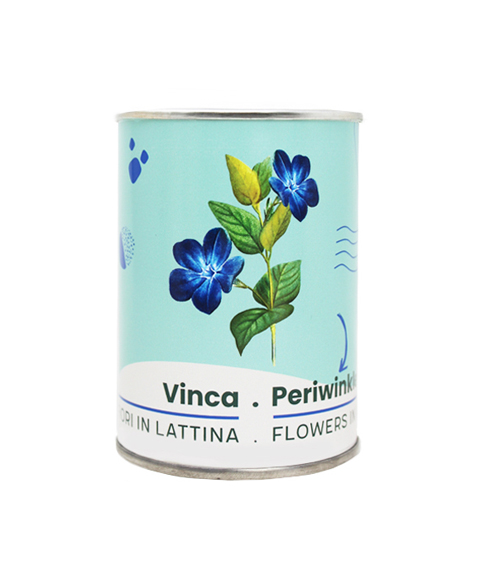 Microgiardini-Vinca 494x573