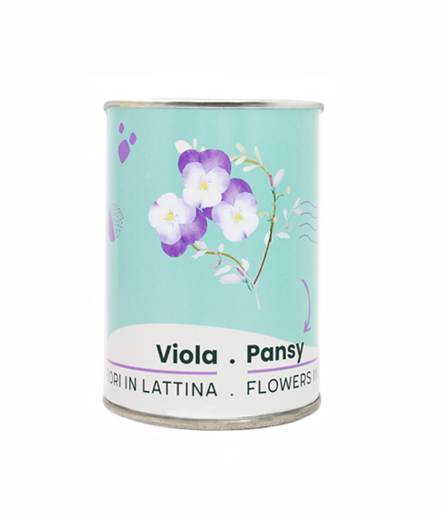 Microgiardini-Viola 494x573