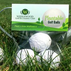 3 Seed Bombs Palline Golf Piantabili con Mix di Fiori di Campo Colorati e Confezione Trasparente