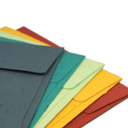 Buste in Carta Piantabile con Colori Diversi