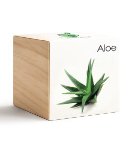 iGreen Cube Aloe