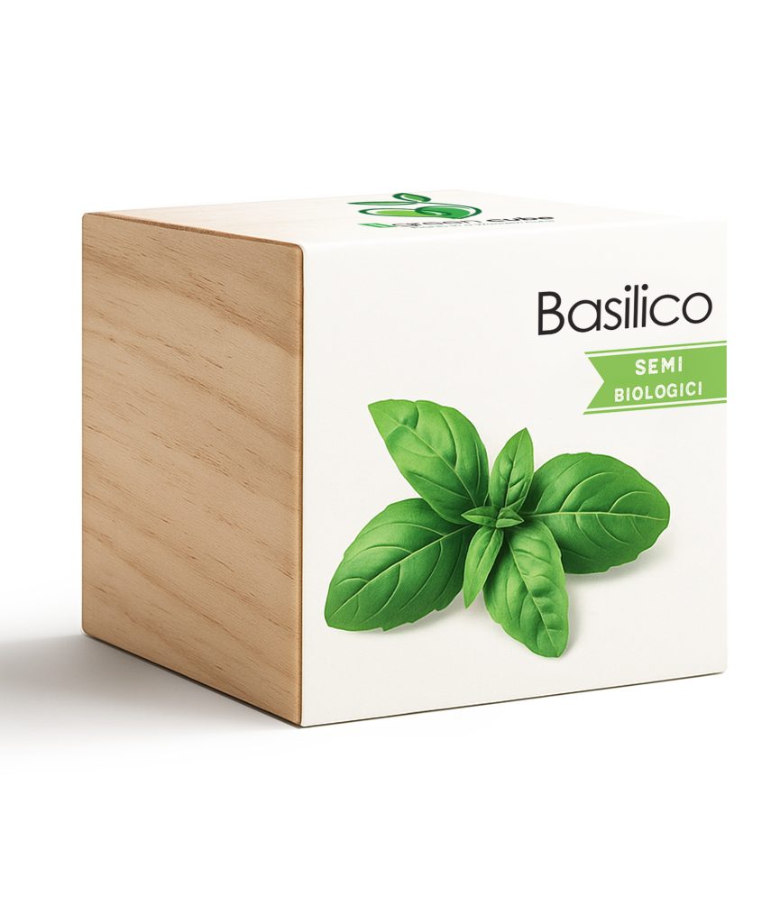 iGreen Cube Albahaca