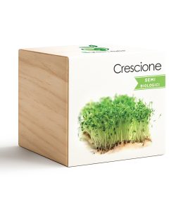 iGreen Cube Berro