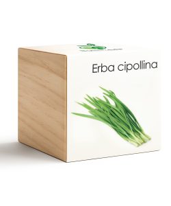 iGreen Cube Cebollino