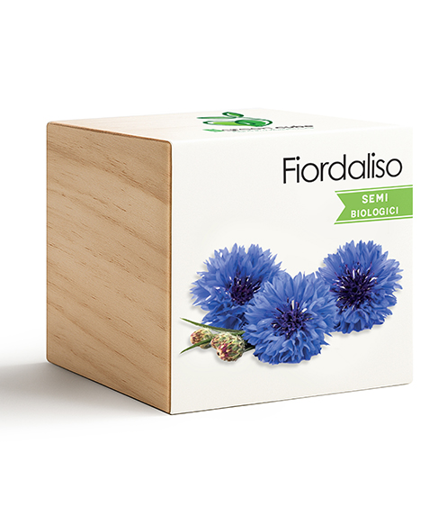 iGreen Cube Fiordaliso 487x583
