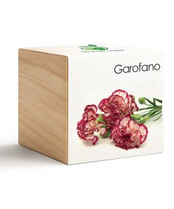 iGreen Cube Clavel