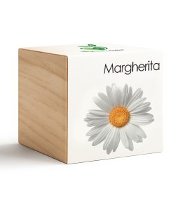 iGreen Cube Margarita
