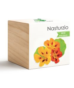 iGreen Cube Capuchina