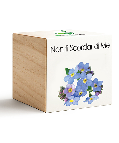 iGreen Cube Non ti Scordar di Me 487x583