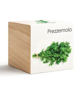 iGreen Cube Perejil