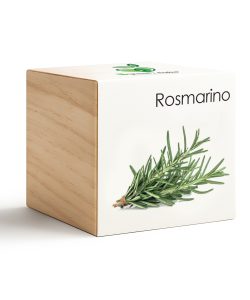 iGreen Cube Romero