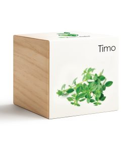 iGreen Cube Tomillo