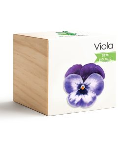 iGreen Cube Violeta
