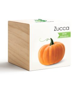 iGreen Cube Calabaza