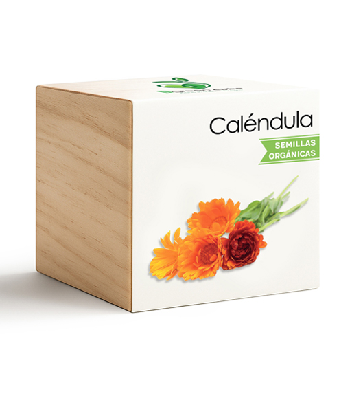 iGreen Calendula