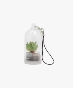 Micronatura-Minicactus-Floor