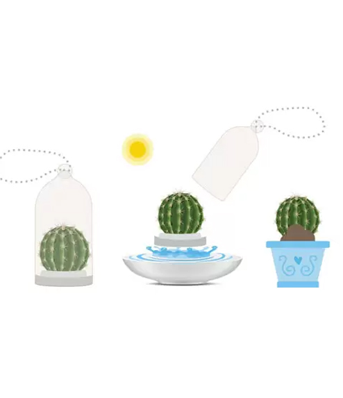 Mini Cactus instrucciones