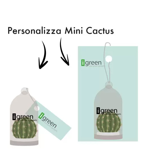 Mini cactus instrucciones personalización