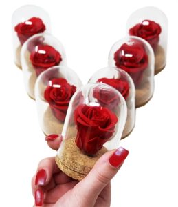 iGreen Rose V shape