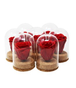 iGreen Rose con Capsule