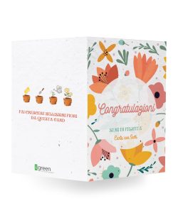 Laurea-Congratulazioni