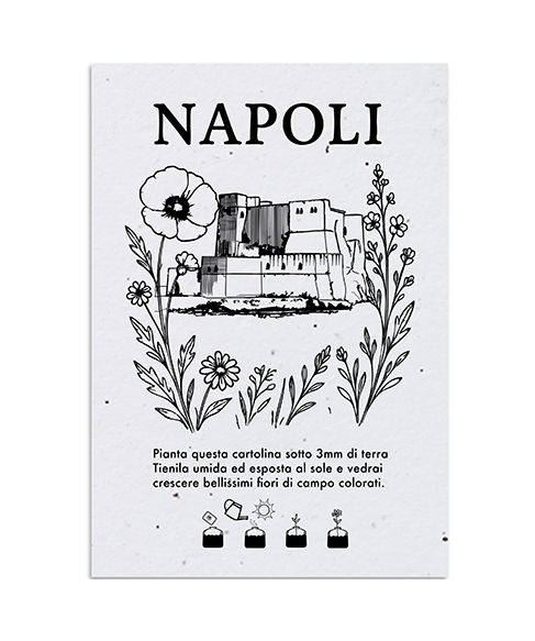Cartolina-Piantabile-Napoli-494x573