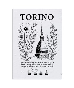 Cartolina Piantabile Torino
