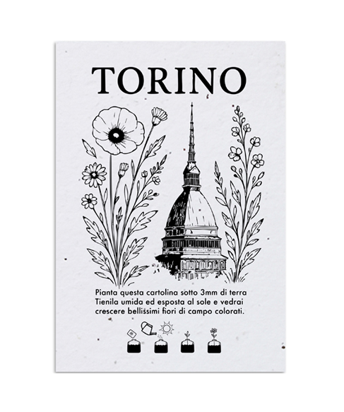 Cartolina-Piantabile-Torino-494x573