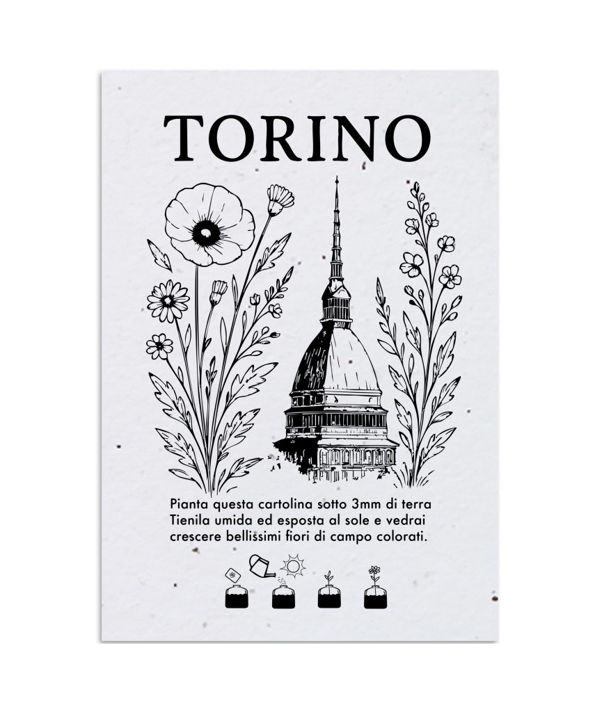Cartolina Piantabile Torino