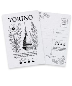 Cartolina Piantabile Torino FR