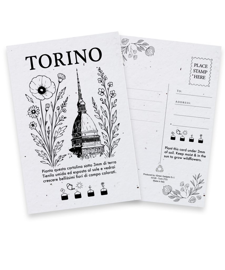 Cartolina Piantabile Torino FR
