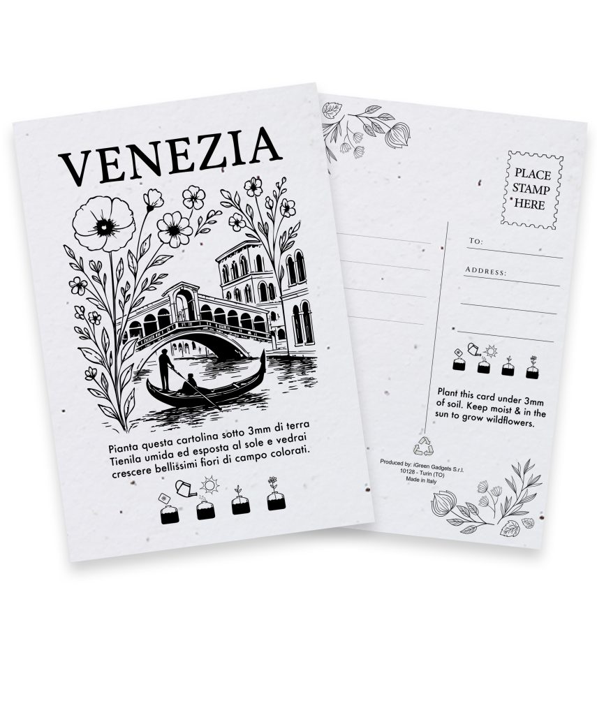 Cartolina Piantabile Venezia FR