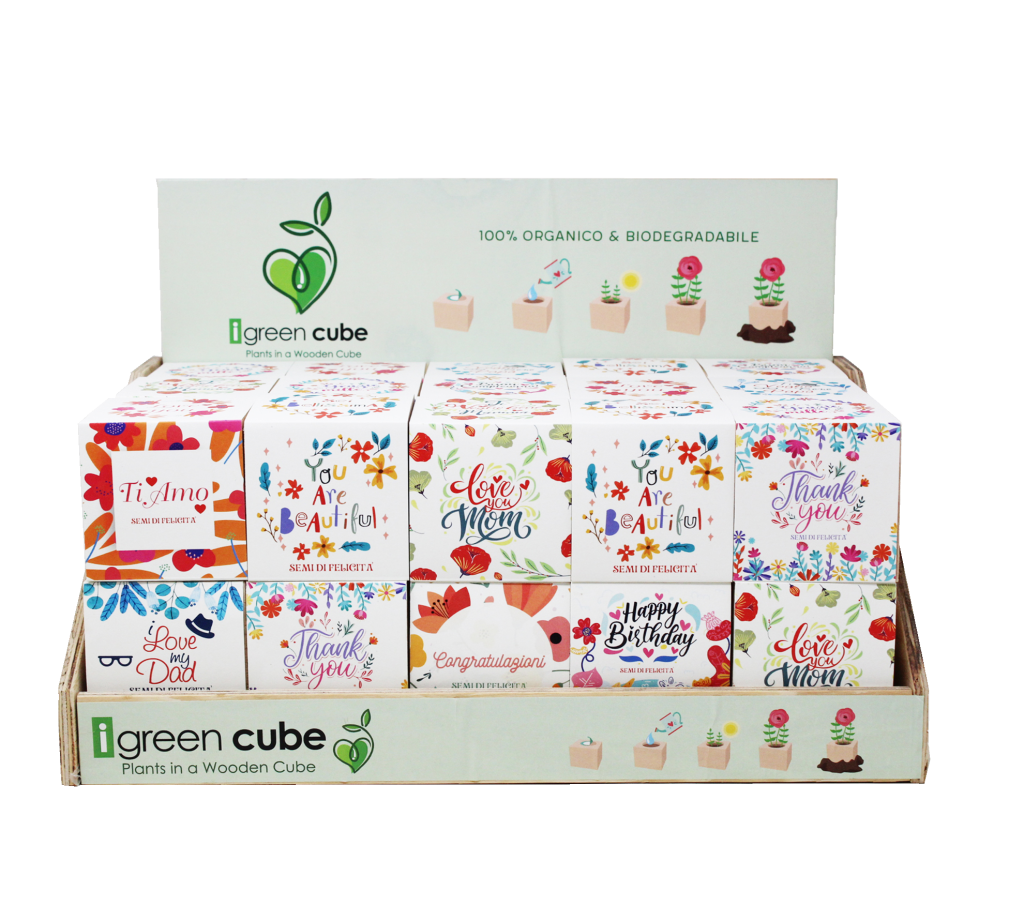 Display Cube Augurali Evidenza